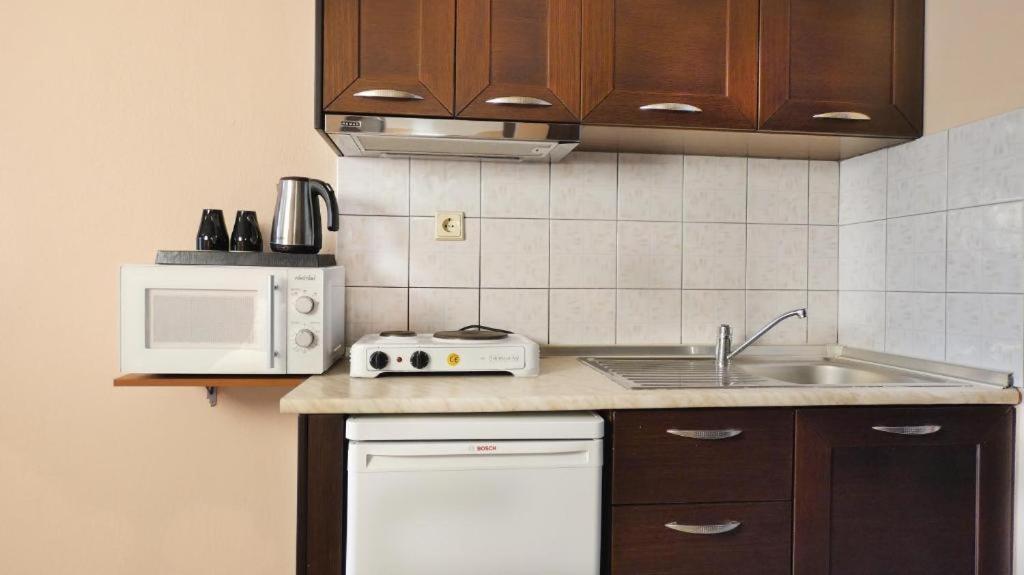 House Chrysoula Mitsokopi Daire Sarti Dış mekan fotoğraf